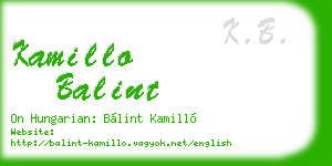 kamillo balint business card