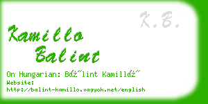 kamillo balint business card